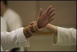 Aikido is blending